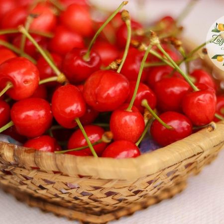Apartament Zagare E Limoni Ostuni Zewnętrze zdjęcie