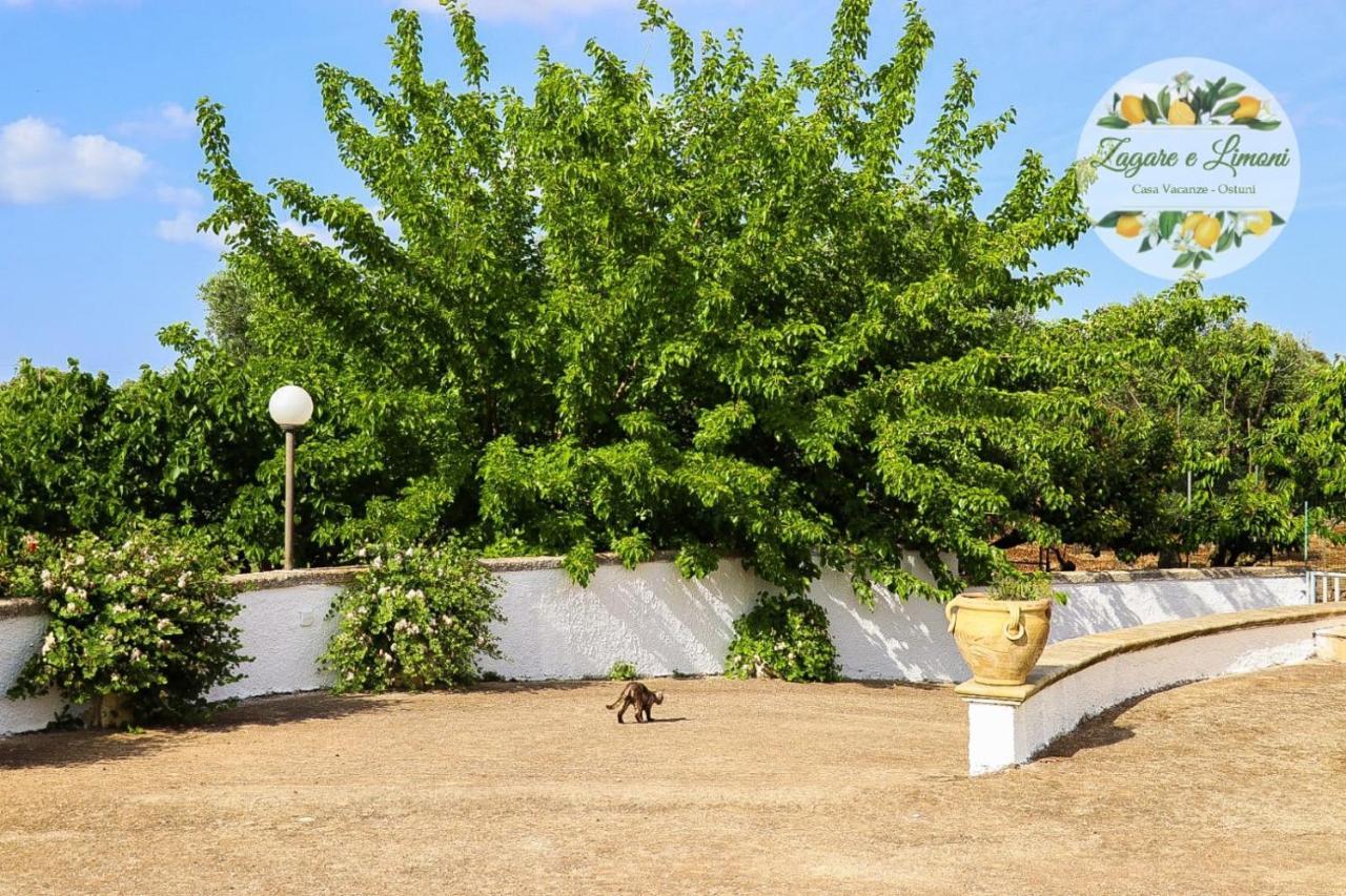 Apartament Zagare E Limoni Ostuni Zewnętrze zdjęcie